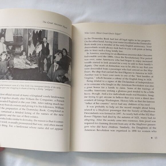 The Great Ancestor Hunt Finding Out Who You Are Li - Picture 8 of 12